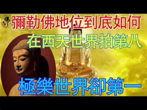 彌勒佛求什麼|【中台世界】佛典故事 ─ 彌勒佛出世本緣（一）